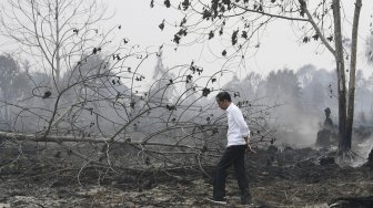 Presiden Joko Widodo meninjau penanganan kebakaran hutan dan lahan di Desa Merbau, Kecamatan Bunut, Pelalawan, Riau, Selasa (17/9).  [ANTARA FOTO/Puspa Perwitasari]