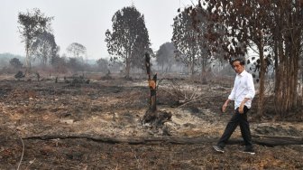 Jokowi Pamer Sepatu Kotor, Gerindra: Cukup Pencitraan Kayak Masuk Got