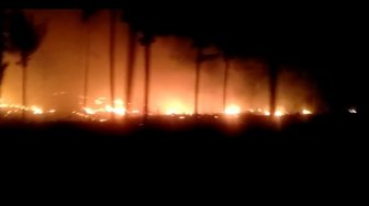 Dua Hektare Lahan Gambut di Cileles Lebak Terbakar