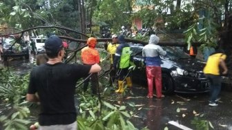 Dilanda Hujan Angin, Pohon Tumbang dan Belasan Rumah Rusak di Bogor