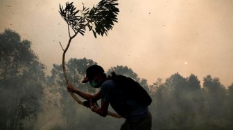 KLHK Segel 52 Perusahaan Pelaku Karhutla