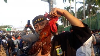 Ikut Aksi Mahasiswa di DPR, Jawara Banten Bawa Ayam Jago Tertancap Paku 12 Cm