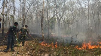 Setelah Dipasang Spanduk Waspada Kebakaran, Hutan Maliran Terbakar