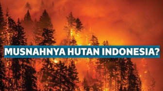 5 Hal Mengerikan yang Bakal Terjadi jika Indonesia Tak Lagi Memiliki Hutan