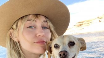 4 Penyanyi Hollywood Pernah Kemalingan, Miley Cyrus Rugi Banyak