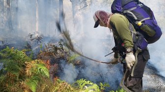 Hutan Gunung Arjuno Terbakar, BPBD Jatim Kaji Opsi Pemadaman Dari Udara