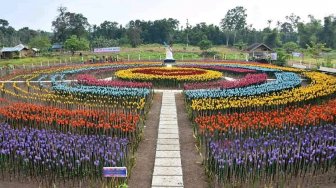 Wow, Taman Cantik Ini Ternyata Penuh Bunga dari Sampah Plastik