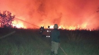 Titik Panas Turun, Kualitas Udara Membaik di Sumatra dan Kalimantan