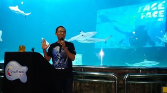 Bikin Tegang, Saat Penyelam Beri Makan Langsung Ikan Hiu Ganas di SeaWorld