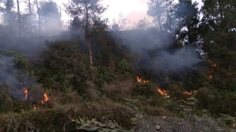 Hutan di Lereng Gunung Merapi Terbakar, Pemadaman akan Dilanjut Sabtu Pagi