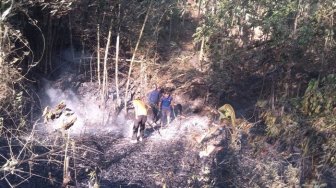 Karhutla di Jatim Hanguskan 3.400 Hektare, BPBD Jatim: Kebakaran Terparah