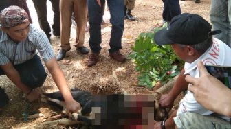 Senang Bupati Lampura Ditangkap KPK, Warga Potong Kambing di Halaman Pemkab