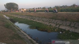 Selokan Mataram dan Van Der Wijck Ditutup Sementara, Ini Langkah Pemkab Sleman Atasi Dampaknya di Sektor Pertanian