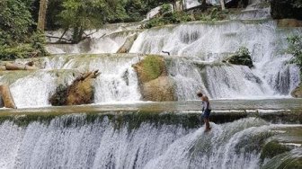 Menembus Jantung Hutan Suaka Alam Tanjung Peropa, Demi Air Terjun Moramo