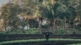 Berlatar Pulau Hiri dan Laut Lepas, Pesona Lahan Pertanian Takome