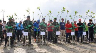 Ukir Rekor MURI, 5.000 Bibit Mangrove Hijaukan Teluk Benoa