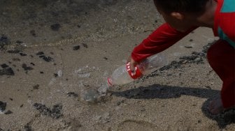 Pengunjung berada di dekat ubur-ubur yang terdampar di Pantai Lagoon, Ancol, Jakarta, Rabu (9/10). [Suara.com/Angga Budhiyanto]