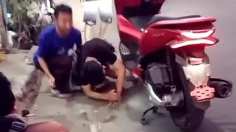 Ngeri, Ada Ular Bersarang Dalam Bodi Honda PCX di Tangerang