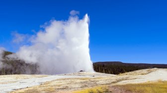 Tak Patuhi Lockdown, Pengunjung Yellowstone Terperosok ke Kawah Panas