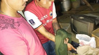 Polres Pandeglang Ringkus Pengedar Ganja di Kecamatan Cigeulis