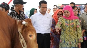 Mentan : Populasi Sapi Indonesia Meningkat 5 Juta Ekor