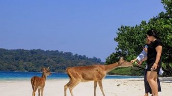 Kembali Dibuka, Simak Imbauan Taman Nasional Ujung Kulon untuk Wisatawan