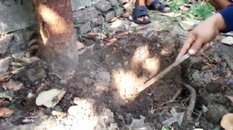 Terkuat Sudah, Misteri Tanah Keluarkan Suhu Panas dan Berasap di Jombang