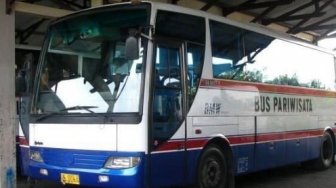 Legendaris, Bus Surabaya-Denpasar Ini Pionirnya Pelayanan Kelas Mewah