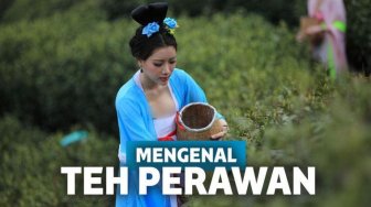 Cuma Wanita Lajang yang Boleh Memetik, Ini Hal Menarik Tentang Teh Perawan