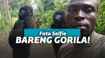 Iseng-iseng Ajak Gorila Selfie, Fotonya Viral dan Bikin Netizen Terpana!