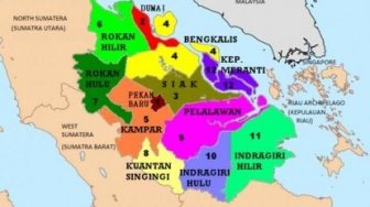 Soal Provinsi Riau Pesisir, Salfian: Jangan Hanya Wacana