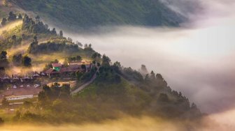 Berselimutkan Kabut, Potret Negeri di Atas Awan, Cemoro Lawang