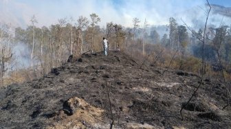 Dua Hari Terbakar, 6.055 Hektare Hutan Gunung Rinjani Hangus