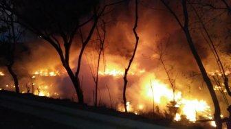 Perbukitan di Kota Cilegon Terbakar Enam Jam, Kobaran Api Dekati Permukiman