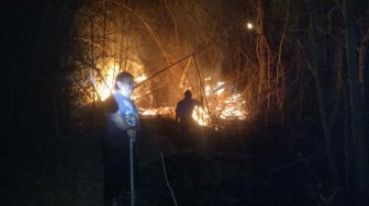 Selama Satu Dekade Tahun Ini Kebakaran Hutan di Tulungagung, Meninggi