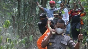 Mayat Perempuan Membawa Gulungan Uang Ditemukan Membusuk di Hutan