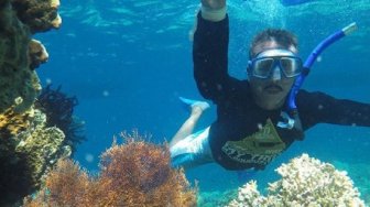 Ekostisnya Pulau Menjangan di Bali Barat, Surganya Pecinta Snorkeling
