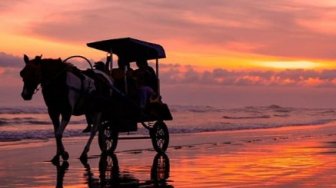 5 Pesona Pantai Parangtritis di Yogyakarta, Surganya Para Penikmat Senja