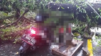 Pemotor Tewas Tertimpa Pohon Tumbang Saat Hujan Lebat Mengguyur Bogor