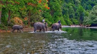 Sumatera Utara Miliki Banyak Wisata Menarik