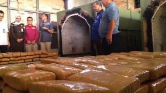 Polda Jambi Kremasi 230 Kg Ganja Asal Aceh