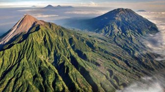 Hari Cinta Satwa dan Puspa Nasional, Taman Nasional Terbesar Asia Tenggara Ada di Indonesia