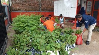 Atasi Kekeringan, BPBD Kebumen Salurkan 31 Ribu Bibit Pohon