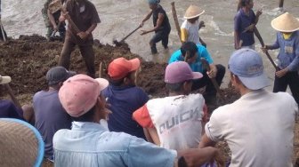 Warga Cilacap Bersihkan Sungai Bodo