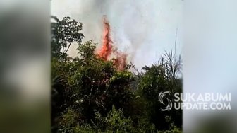 Titik Api Kembali Terlihat, TNGHS: Diluar Kawasan Gunung Halimun Salak