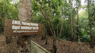 Delegasi G20 Akan Ke Bangka Belitung, Salah Satunya ke Hutan Konservasi Bukit Peramun