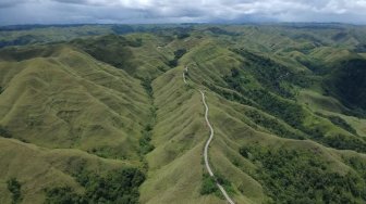 Eloknya Bukit Tanarara, Bentangan Hijau nan Instagrammable di Sumba