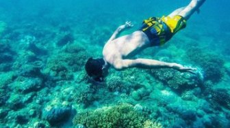 Surga Snorkeling di Sulawesi Barat Itu Bernama Gonda Mangrove Park