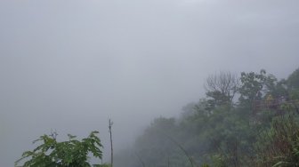 Berburu Kabut di Kebun Buah Mangunan Yogyakarta. (Suara.com/Dany Garjito)