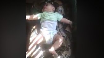 Viral Bayi Tiduran di Atas Ular Besar Dikecam Warganet